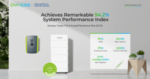 How Dyness Plays A Role in German Energy Revolution Path？