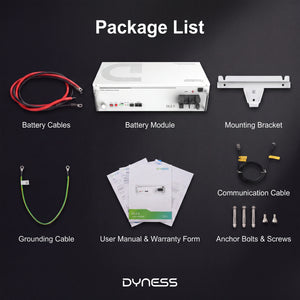 Dyness DL5.0C 51.2 V LiFePO4-Energiespeicherbatterie für den Heimgebrauch