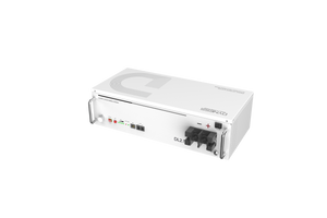 Dynesspower DL2.5 24V 100Ah LiFePO4 Battery for RV & Off-Grid Solar