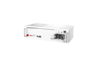 Dynesspower DL2.5 24V 100Ah LiFePO4 Battery for RV & Off-Grid Solar