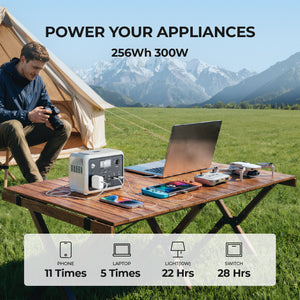 Dynesspower PPS300 300W Portable Power Station with 256Wh LiFePO4 Battery