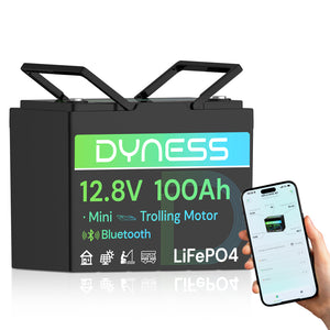 Dynesspower 12V 100Ah Group 24 Bluetooth-Enabled LiFePO4 Deep Cycle Battery