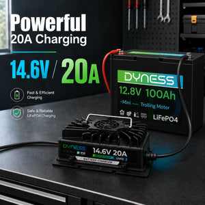 Dynesspower 14.6V 20A IP65 Waterproof LiFePO4 Charger