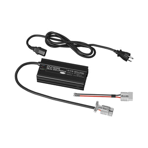Dynesspower 29.2V 20A LiFePO4 Battery Charger