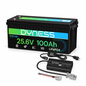 Dyness 24V 100Ah LiFePO4 Batterie