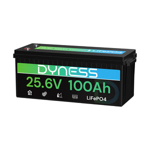 Dynesspower 24V 100Ah LiFePO4 Battery
