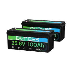 Dynesspower 24V 100Ah LiFePO4 Battery
