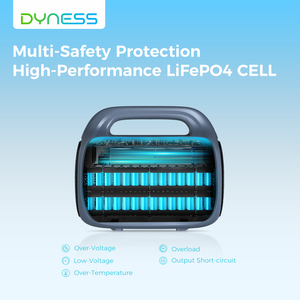 Dynesspower Portable Power Station E-Pearl 1000W