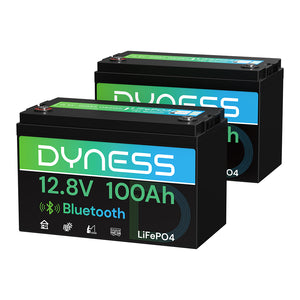 Dynesspower  12V 100Ah Lithium Battery with Bluetooth
