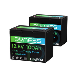 Dynesspower 12V 100Ah Group 24 Bluetooth-Enabled LiFePO4 Deep Cycle Battery