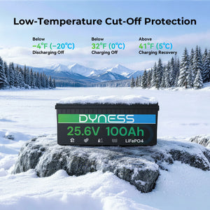 Dynesspower 24V 100Ah LiFePO4 Battery
