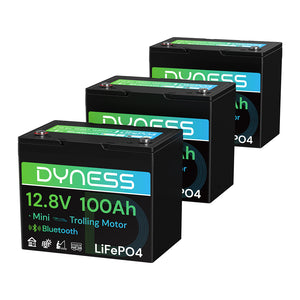 Dynesspower 12V 100Ah Group 24 Bluetooth-Enabled LiFePO4 Deep Cycle Battery