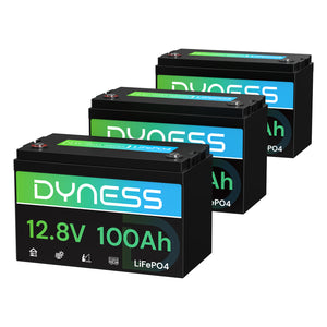 Dynesspower AR1.2 12V 100Ah LiFePO4 Battery