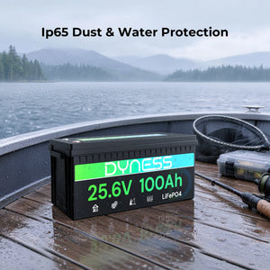 Dynesspower 24V 100Ah LiFePO4 Battery