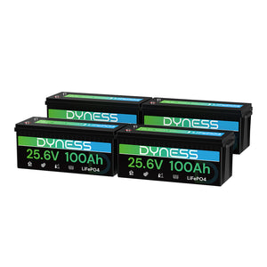 Dynesspower 24V 100Ah LiFePO4 Battery