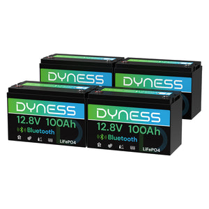 Dynesspower  12V 100Ah Lithium Battery with Bluetooth