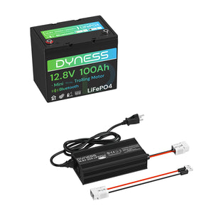 Dynesspower 12V 100Ah Group 24 Bluetooth-Enabled LiFePO4 Deep Cycle Battery