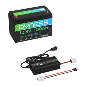 Dynesspower  12V 100Ah Lithium Battery with Bluetooth