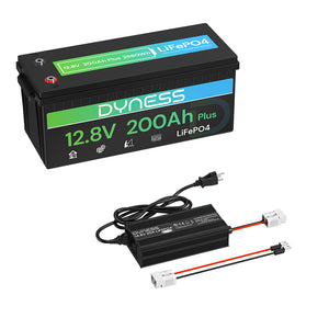 Dynesspower 12V 200Ah LiFePO4 Battery