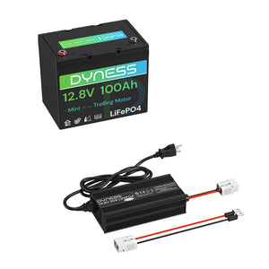 Dynesspower 12V 100Ah Group 24 LiFePO4 Lithium Deep Cycle Battery