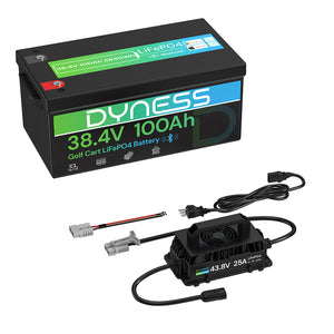 Dynesspower 36V 100Ah Lithium Golf Cart Battery – Featuring 200A BMS & Real-Time Monitoring