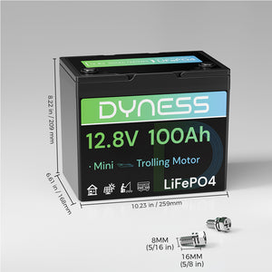 Dynesspower 12V 100Ah Group 24 LiFePO4 Lithium Deep Cycle Battery