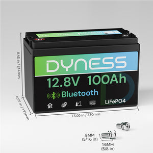 Dynesspower  12V 100Ah Lithium Battery with Bluetooth