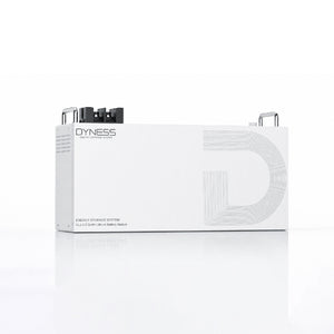 Dyness DL5.0C 51.2 V LiFePO4-Energiespeicherbatterie für den Heimgebrauch