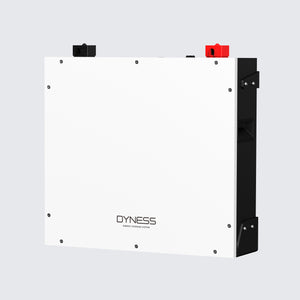 Dynesspower DL5.0C 51.2V LiFePO4 Home Energy Storage Battery