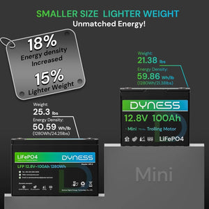 Dynesspower 12V 100Ah Group 24 LiFePO4 Lithium Deep Cycle Battery